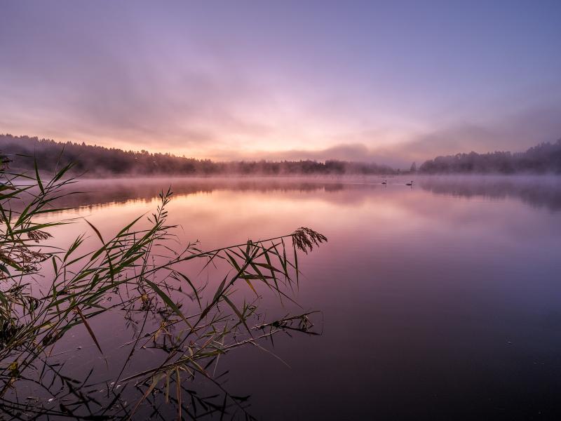 Zieringser Teich 6:01 Uhr